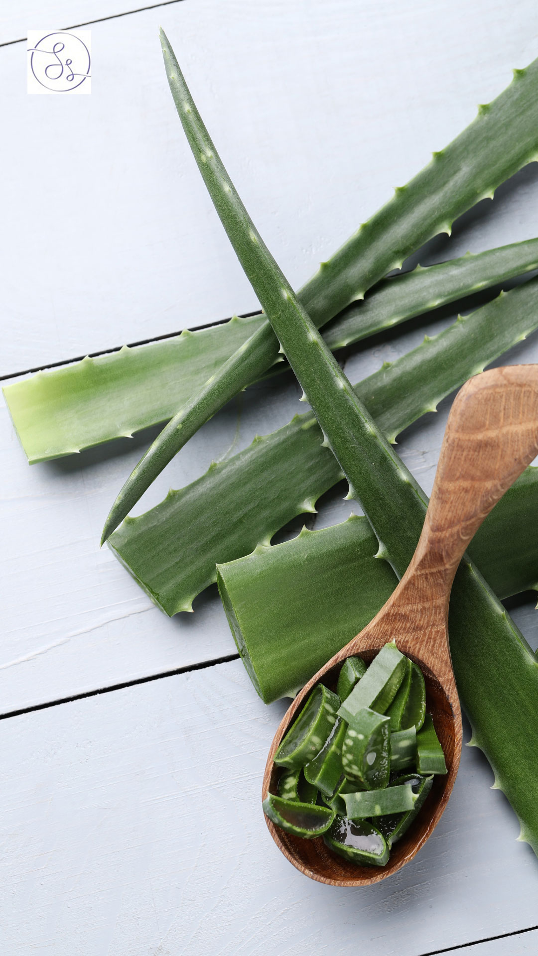 Aloe Vera serves as a natural moisturizer, aiding in skin hydration - Dr Sanyogita Singh