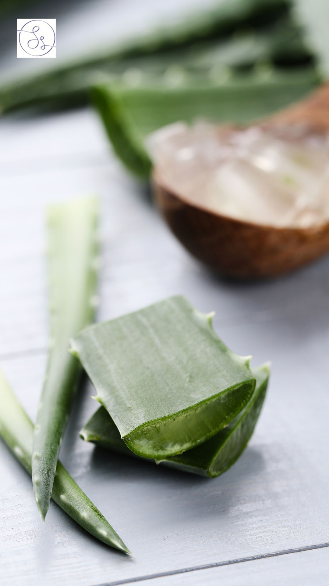 7 Magical Results of Applying Aloe Vera Daily on Skin - Dr Sanyogita Singh