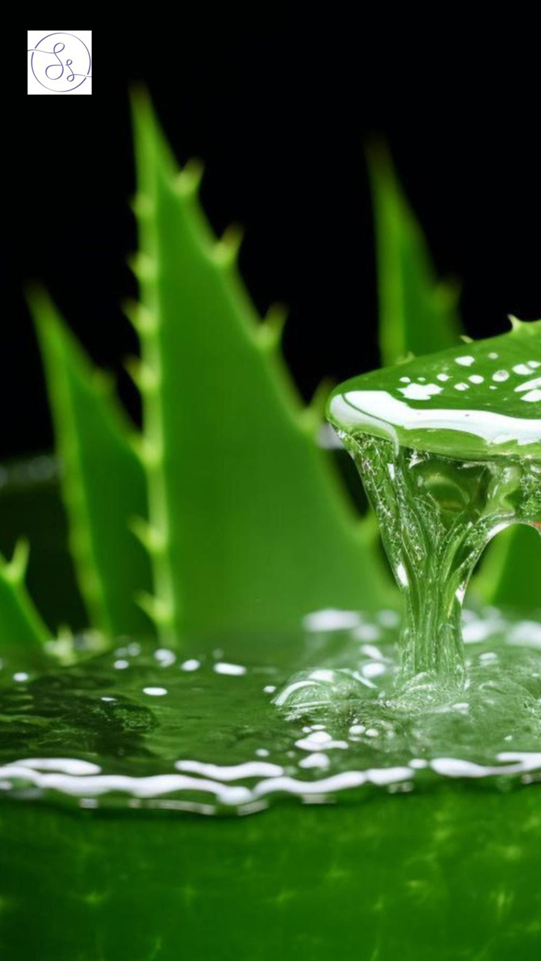 The gel extracted from aloe vera possesses anti-inflammatory properties that can effectively diminish redness and skin inflammation - Dr Sanyogita Singh