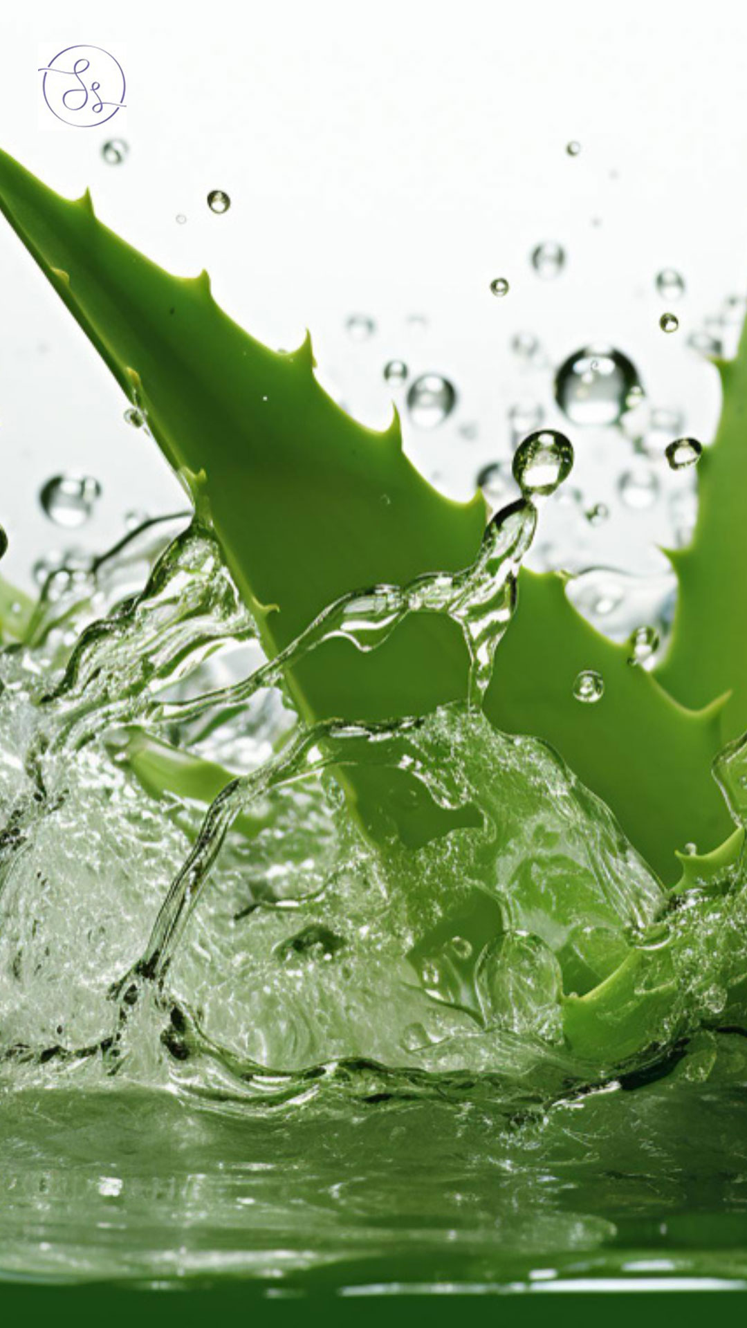 Aloe Vera possesses antimicrobial properties that can be potent against bacteria causing acne - Dr Sanyogita Singh