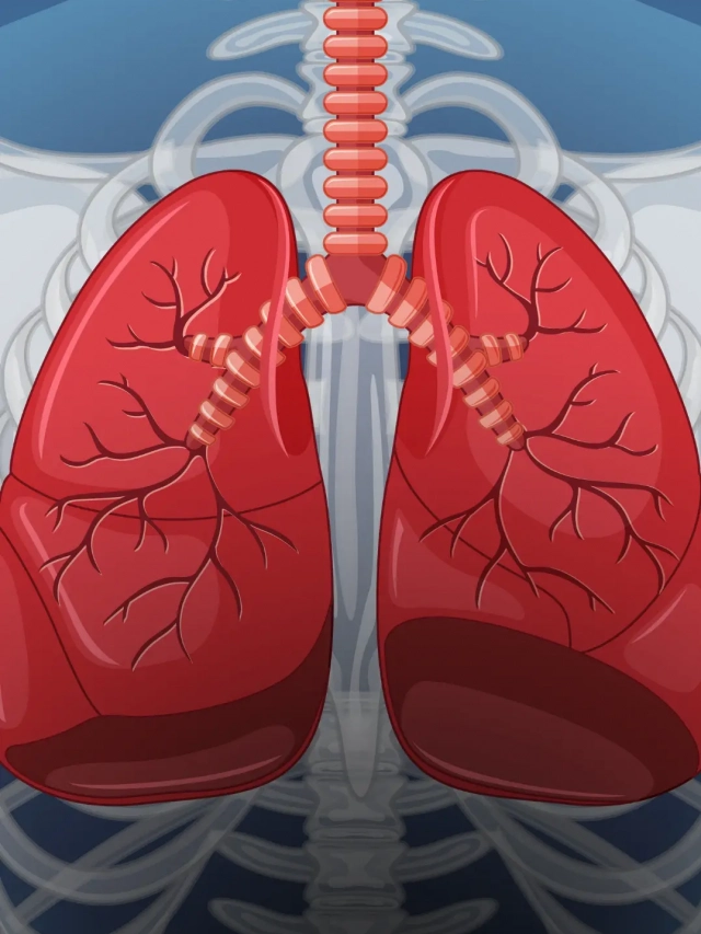 5 Effective Lung Exercises to Maintain Good Respiratory Health