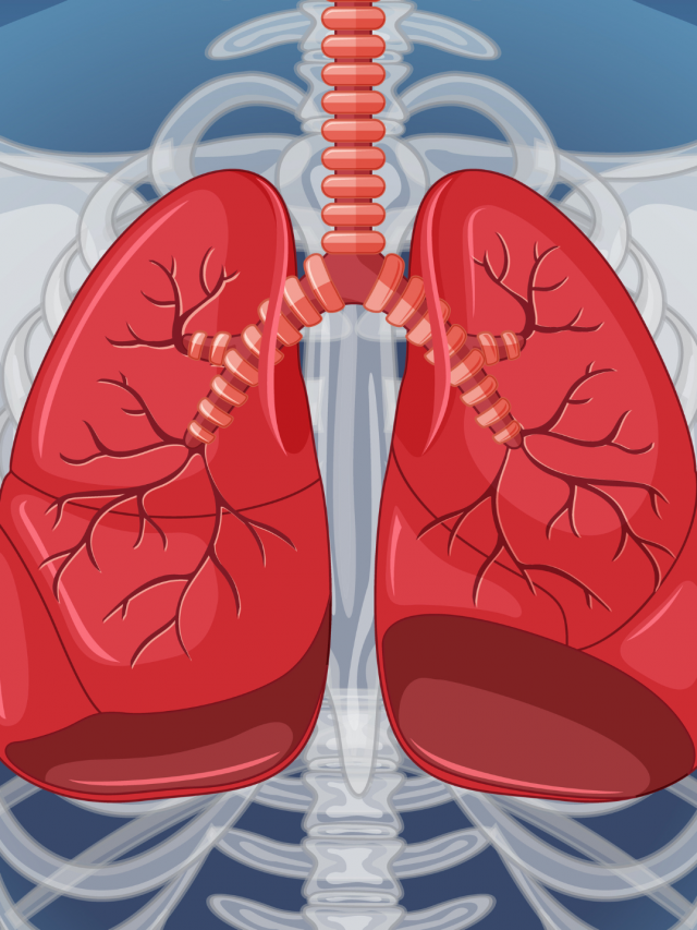 5 Effective Lung Exercises to Maintain Good Respiratory Health