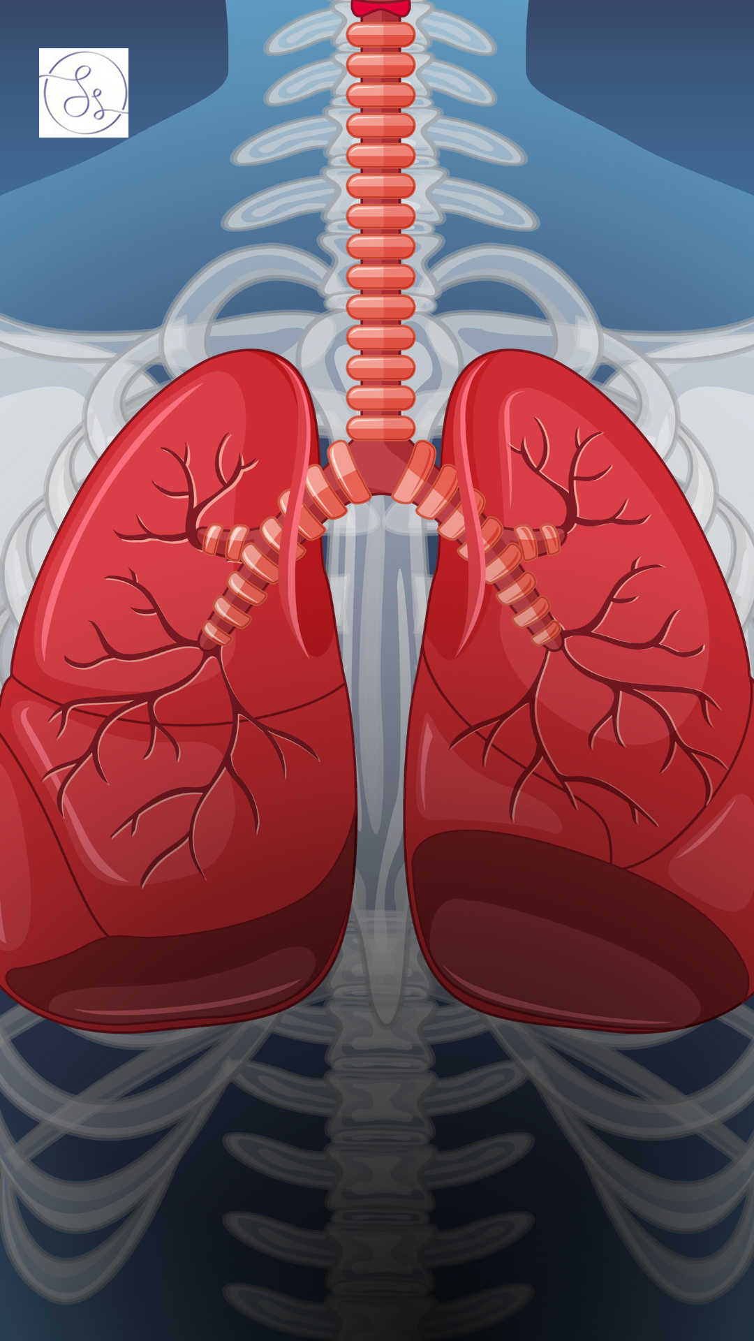 5 Effective Lung Exercises to Maintain Good Respiratory Health